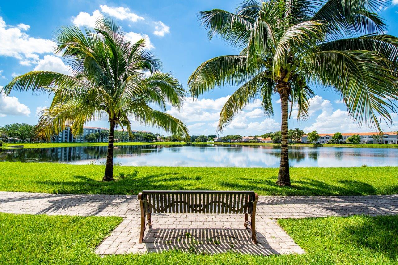 Bench by Lake view