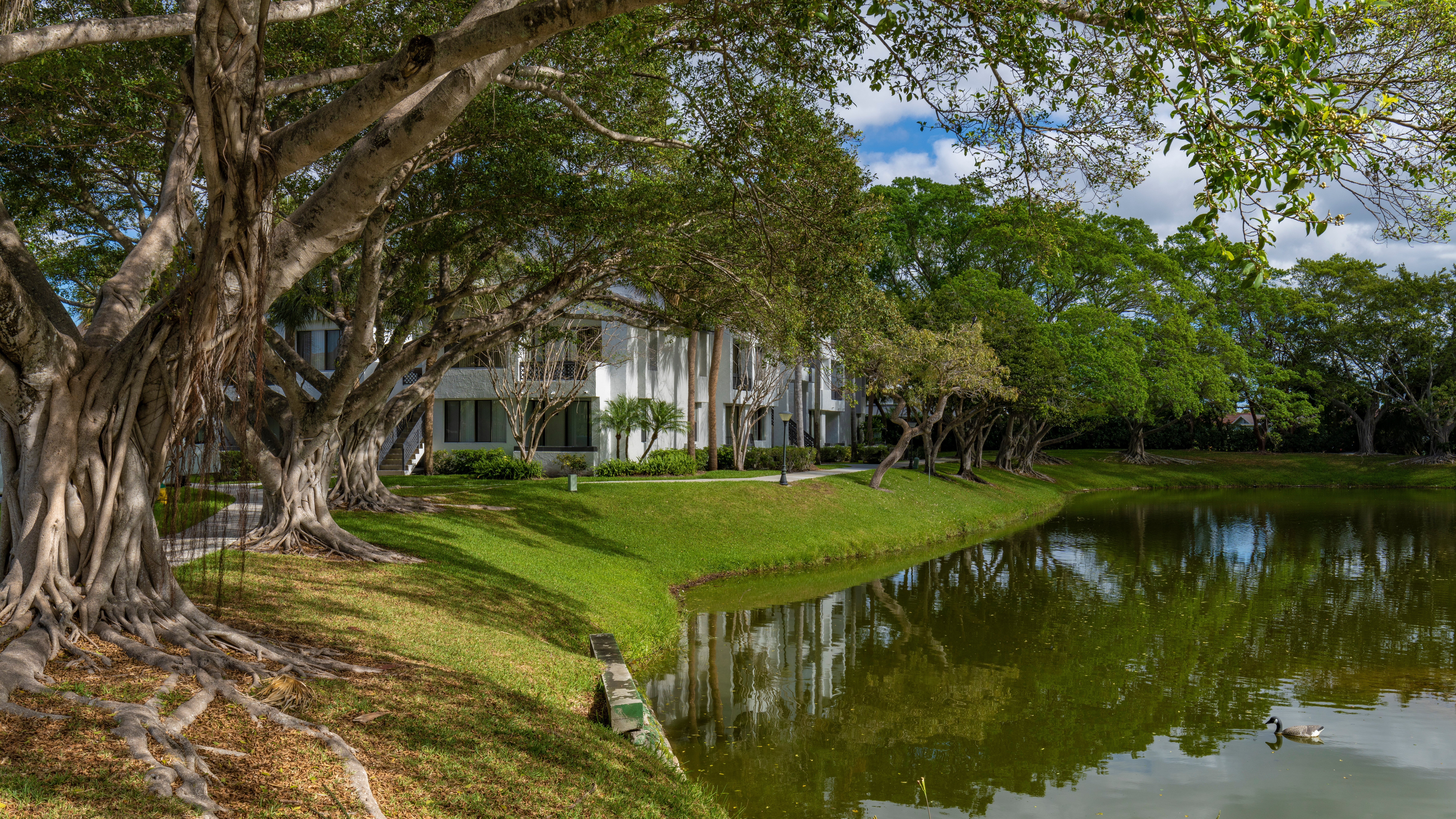 Legacy at Coconut Creek